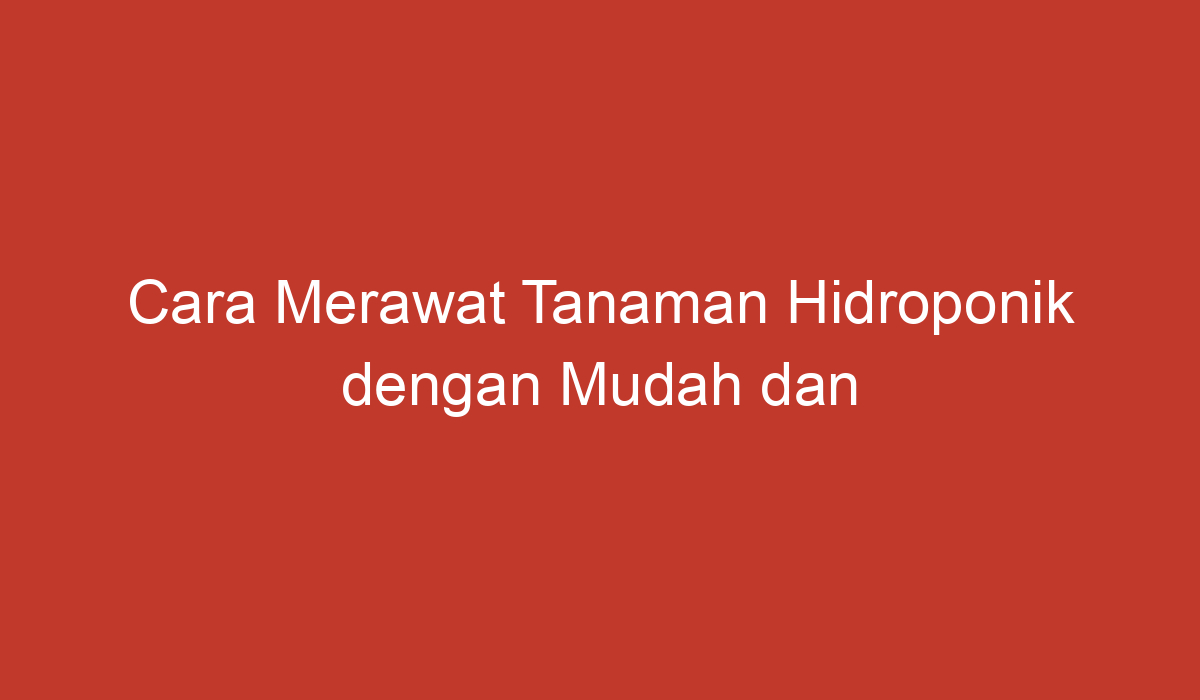 Cara Merawat Tanaman Hidroponik Dengan Mudah Dan Efektif