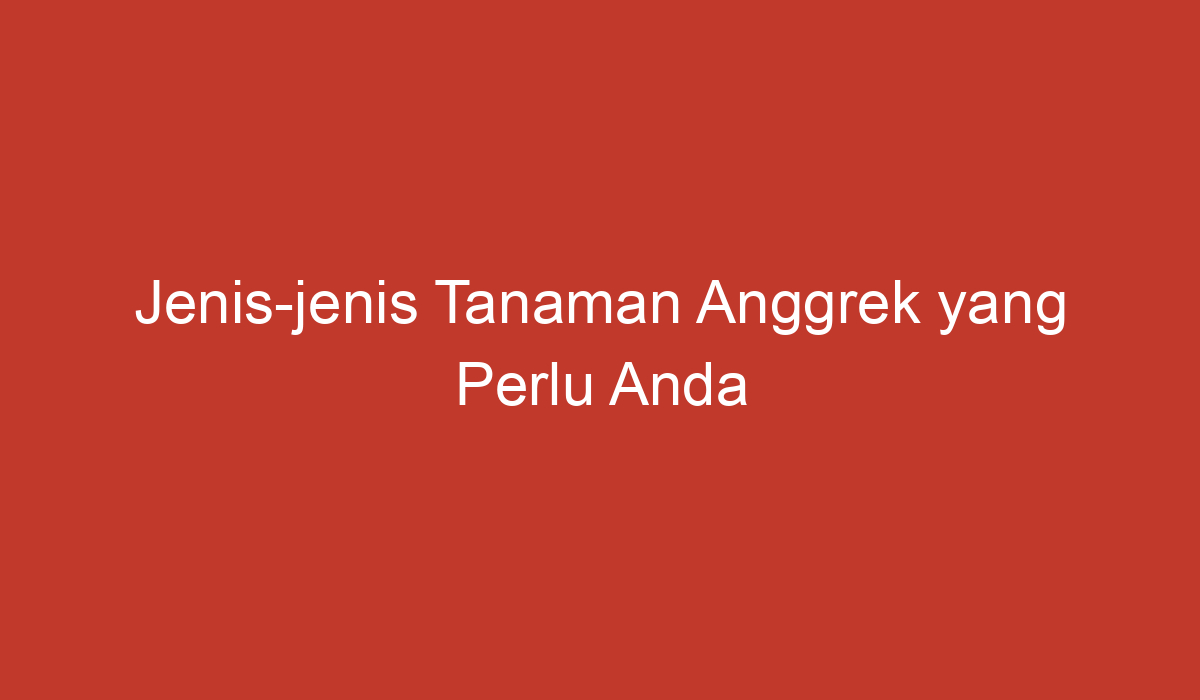 Jenis Jenis Tanaman Anggrek Yang Perlu Anda Ketahui