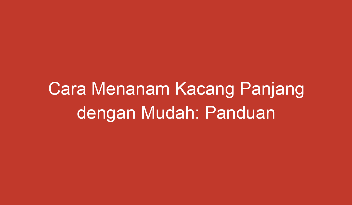 Cara Menanam Kacang Panjang Dengan Mudah Panduan Lengkap