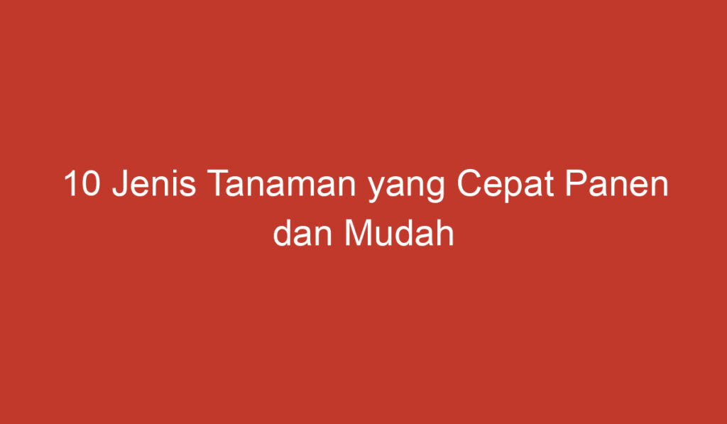 10 Jenis Tanaman yang Cepat Panen dan Mudah Dibudidayakan