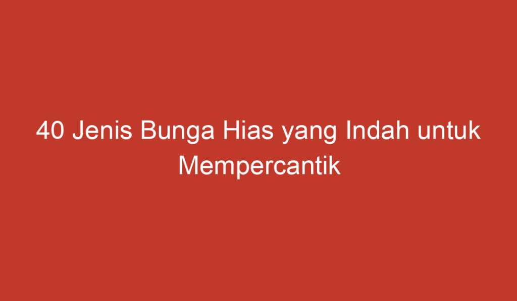 40 Jenis Bunga Hias yang Indah untuk Mempercantik Rumah Anda