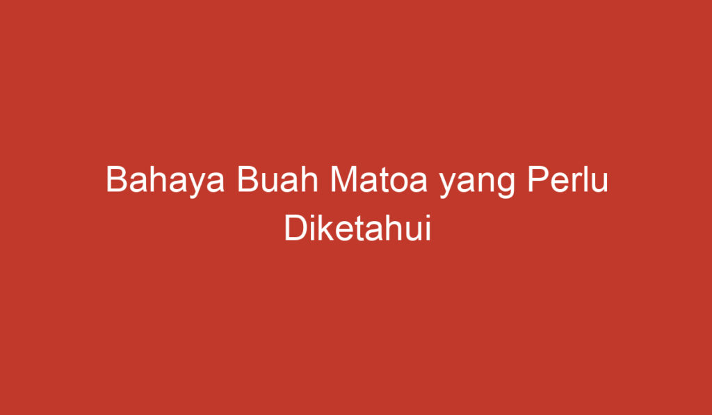 Bahaya Buah Matoa yang Perlu Diketahui