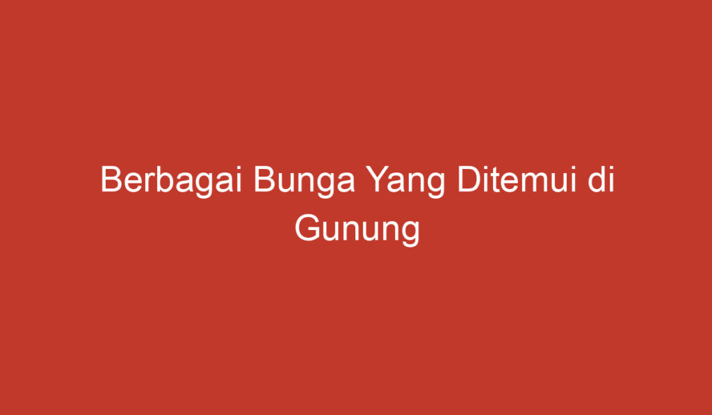 Berbagai Bunga Yang Ditemui di Gunung