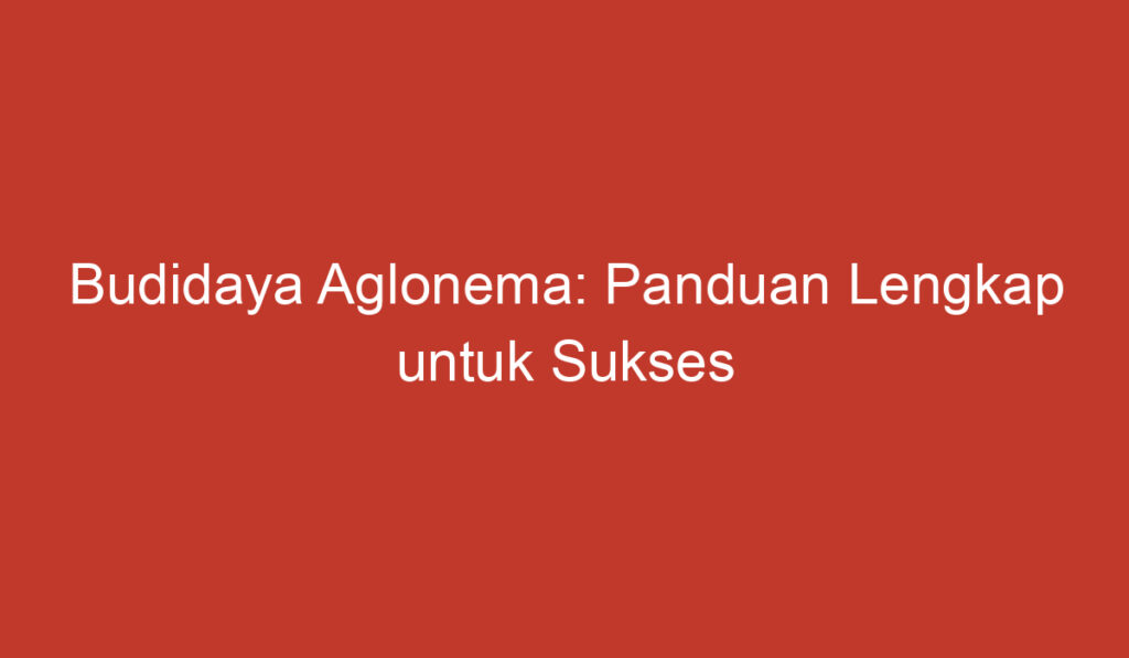 Budidaya Aglonema: Panduan Lengkap untuk Sukses Menanam Tanaman Hias Indoor