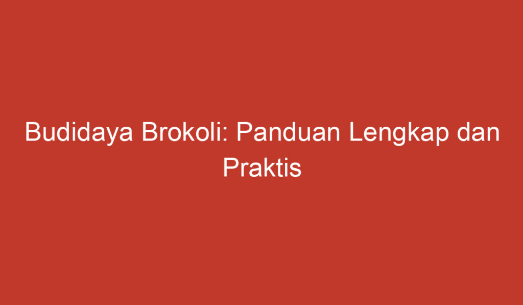 Budidaya Brokoli: Panduan Lengkap dan Praktis