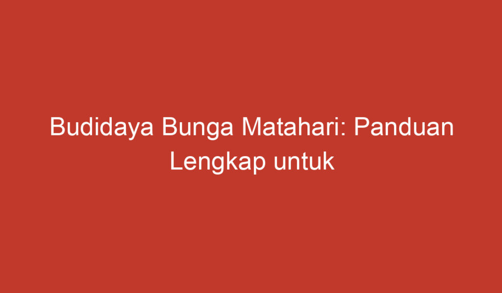 Budidaya Bunga Matahari: Panduan Lengkap untuk Pemula