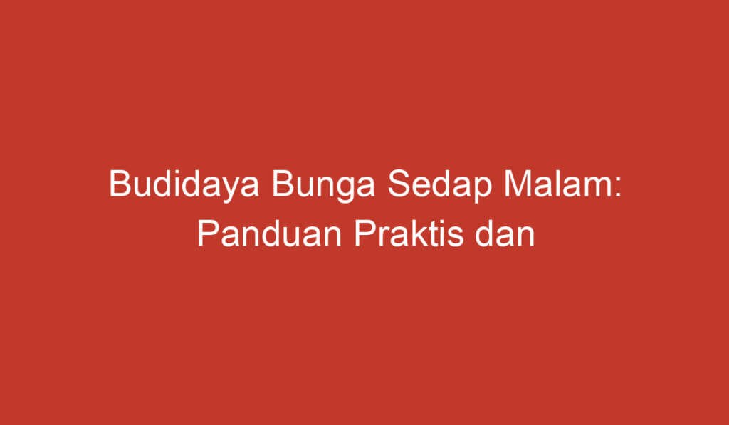 Budidaya Bunga Sedap Malam: Panduan Praktis dan Sukses