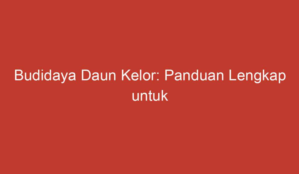 Budidaya Daun Kelor: Panduan Lengkap untuk Menanam dan Merawatnya