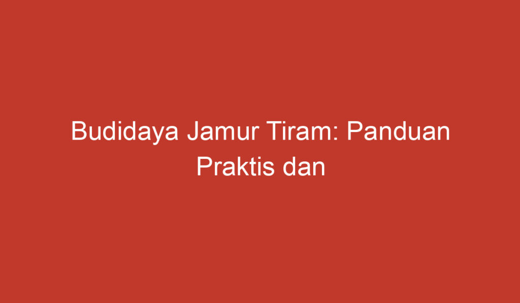 Budidaya Jamur Tiram: Panduan Praktis dan Menguntungkan