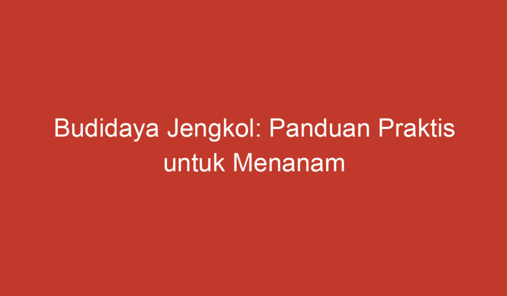 Budidaya Jengkol: Panduan Praktis untuk Menanam dan Merawat Tanaman Jengkol