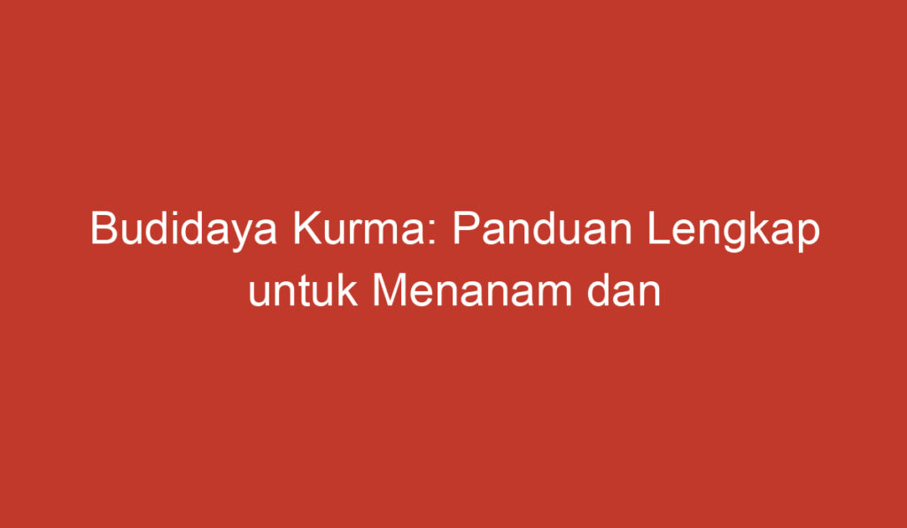 Budidaya Kurma: Panduan Lengkap untuk Menanam dan Merawat Pohon Kurma