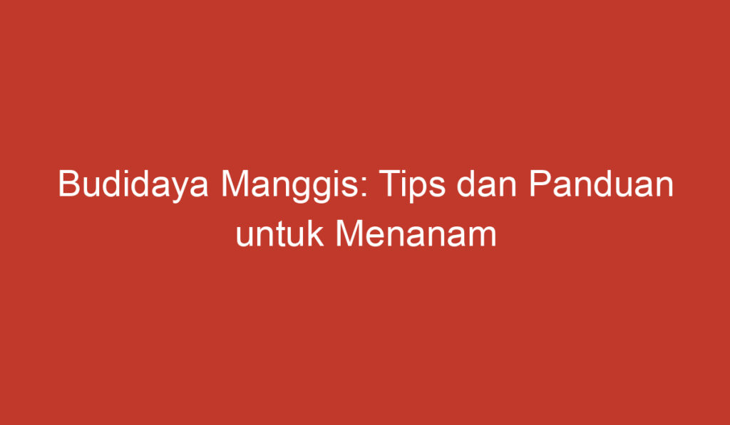 Budidaya Manggis: Tips dan Panduan untuk Menanam Manggis di Indonesia