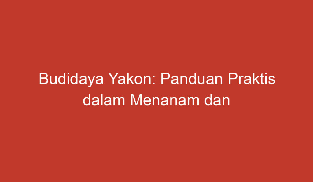 Budidaya Yakon: Panduan Praktis dalam Menanam dan Merawat Tanaman