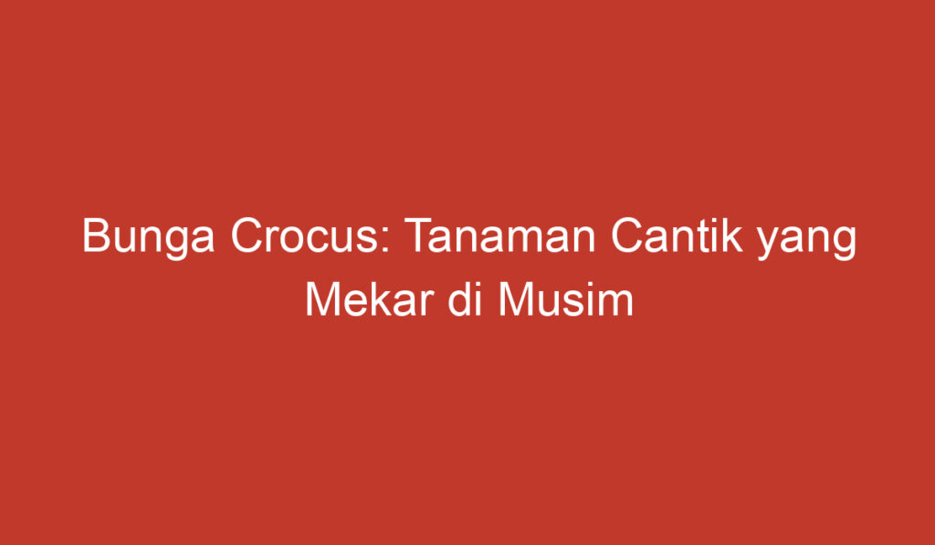 Bunga Crocus: Tanaman Cantik yang Mekar di Musim Semi