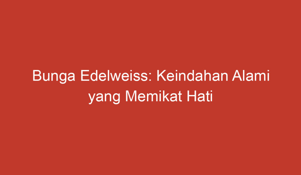 Bunga Edelweiss: Keindahan Alami yang Memikat Hati