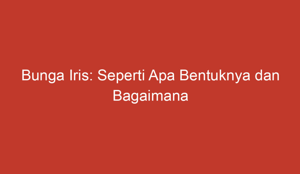 Bunga Iris: Seperti Apa Bentuknya dan Bagaimana Cara Merawatnya?