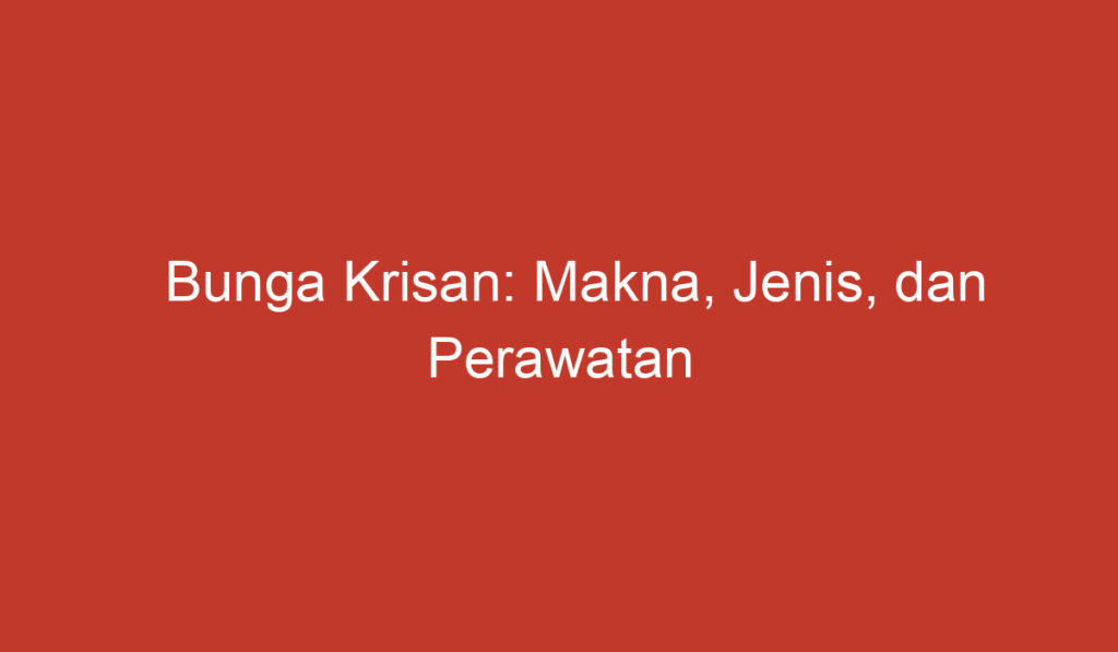 Bunga Krisan: Makna, Jenis, dan Perawatan