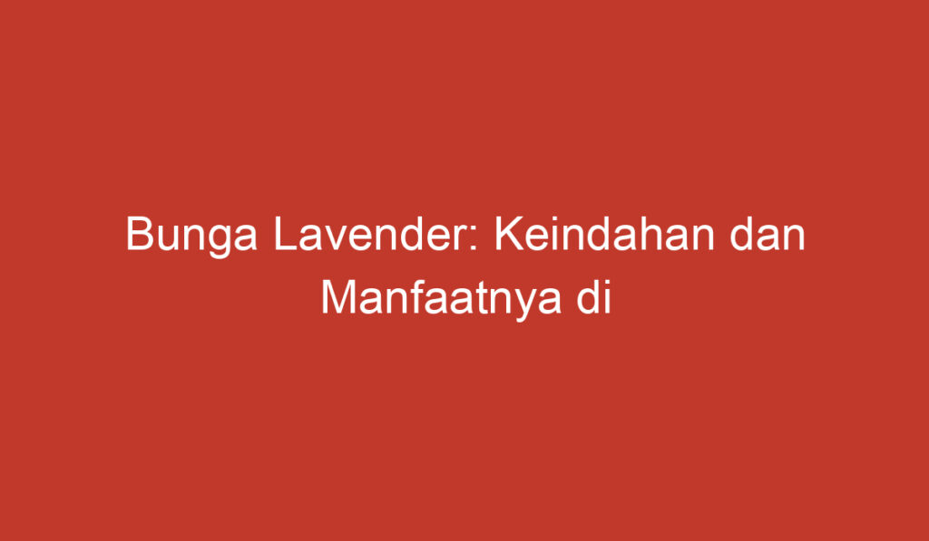 Bunga Lavender: Keindahan dan Manfaatnya di Indonesia