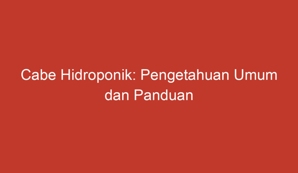 Cabe Hidroponik: Pengetahuan Umum dan Panduan Budidaya