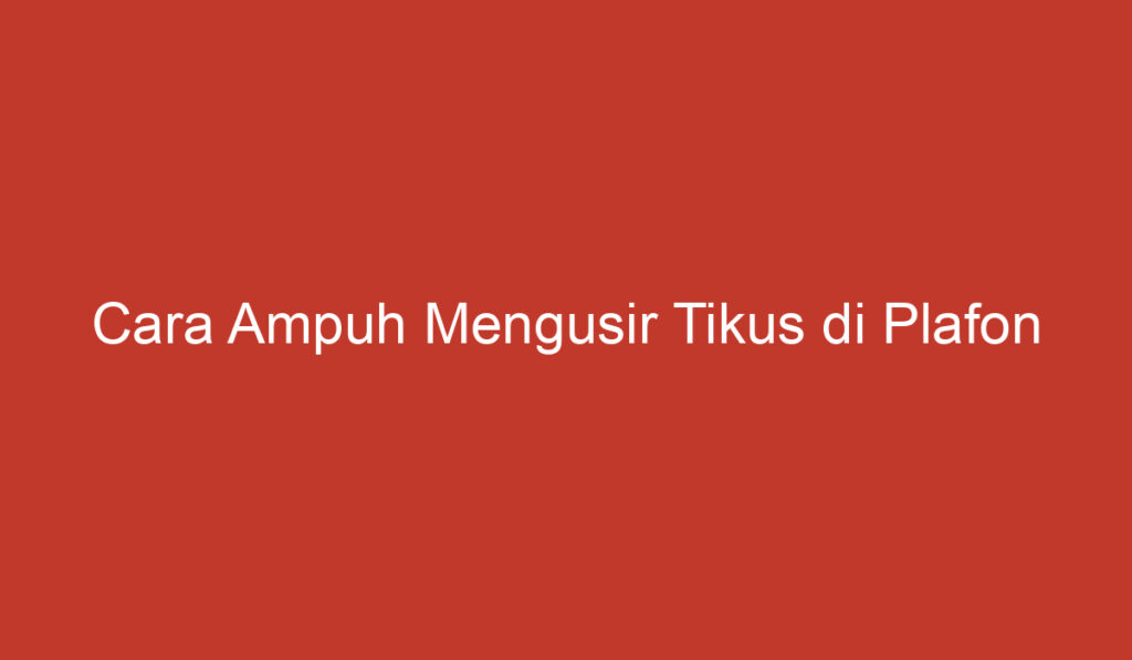 Cara Ampuh Mengusir Tikus di Plafon