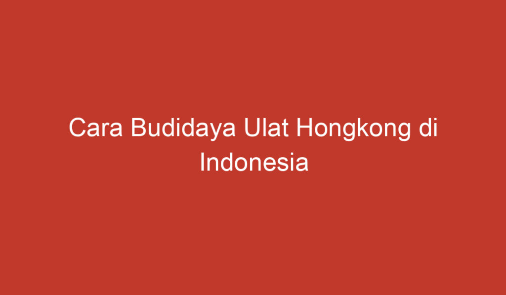 Cara Budidaya Ulat Hongkong di Indonesia