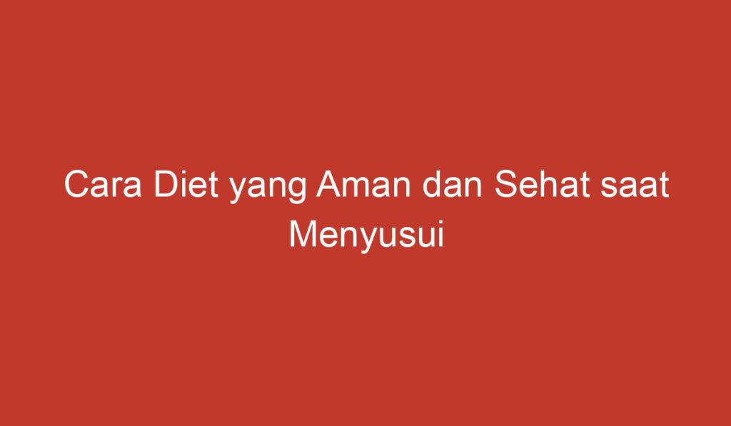 Cara Diet yang Aman dan Sehat saat Menyusui