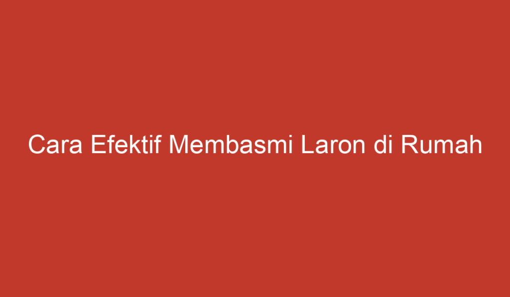 Cara Efektif Membasmi Laron di Rumah