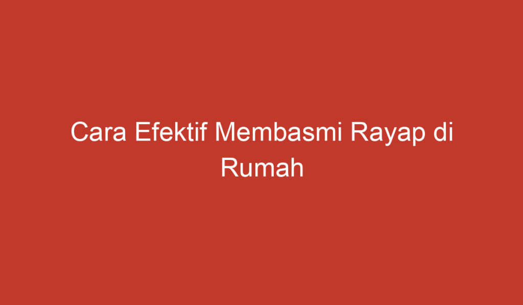 Cara Efektif Membasmi Rayap di Rumah