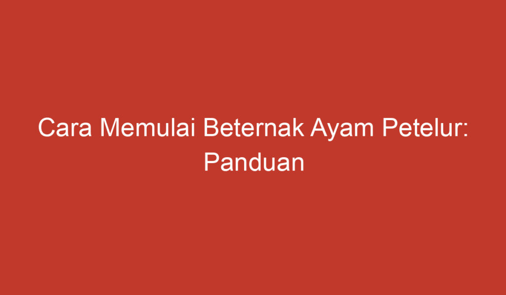 Cara Memulai Beternak Ayam Petelur: Panduan Lengkap untuk Pemula