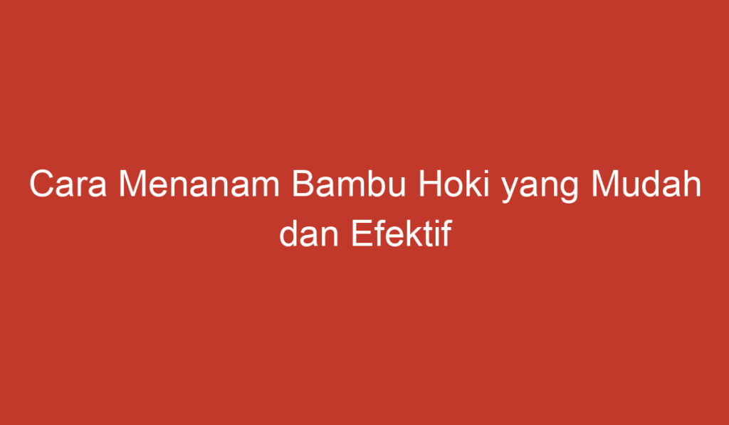 Cara Menanam Bambu Hoki yang Mudah dan Efektif