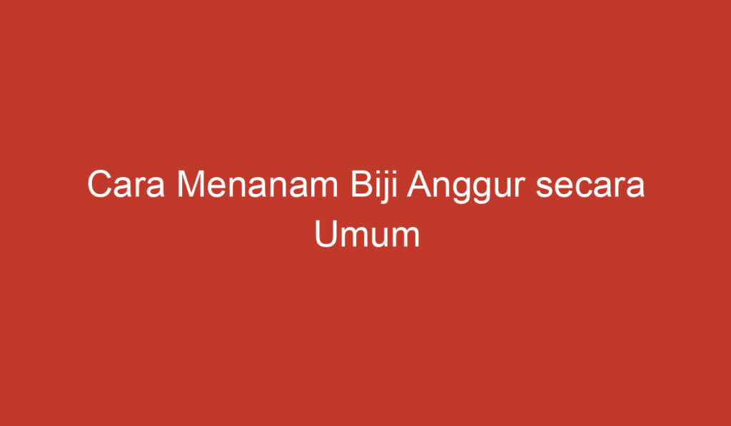 Cara Menanam Biji Anggur secara Umum