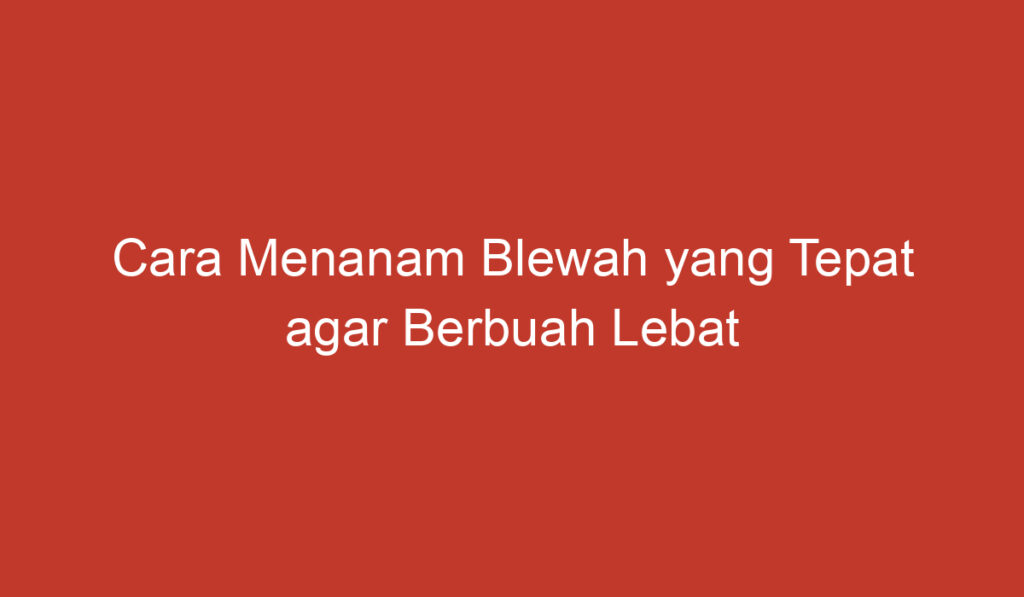 Cara Menanam Blewah yang Tepat agar Berbuah Lebat