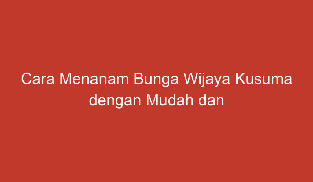 Cara Menanam Bunga Wijaya Kusuma dengan Mudah dan Sukses