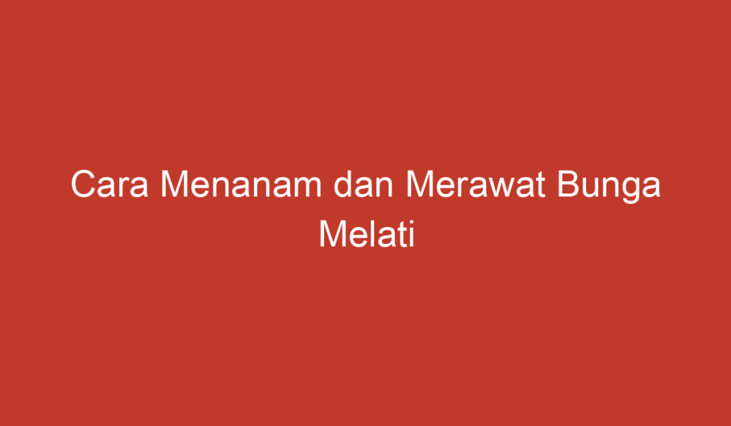 Cara Menanam dan Merawat Bunga Melati