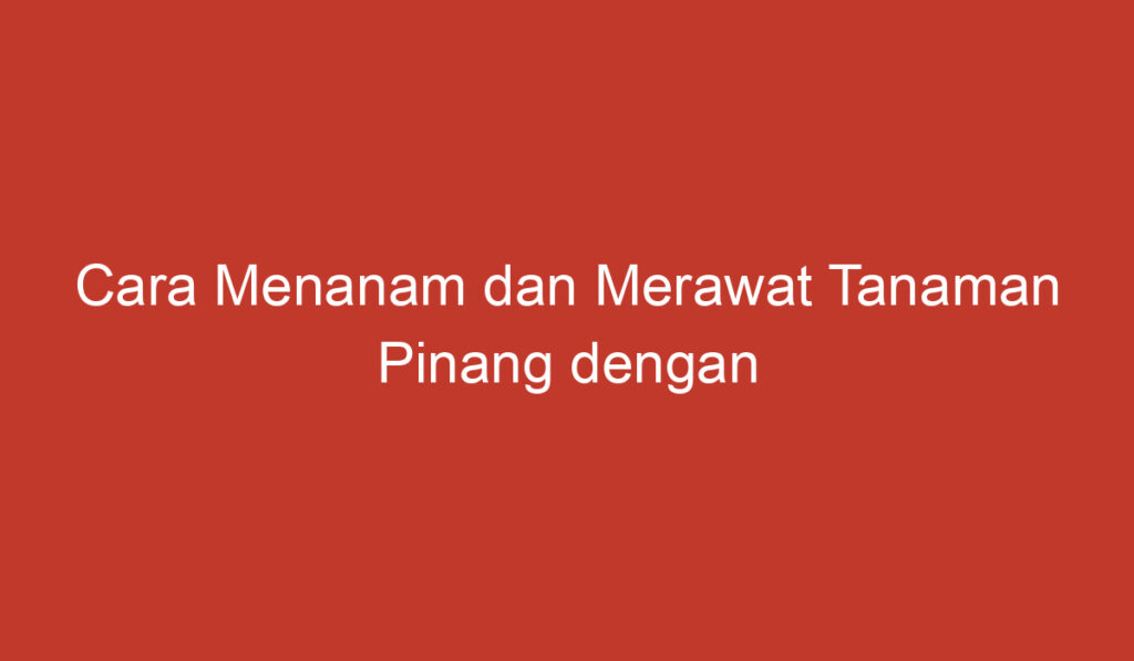 Cara Menanam dan Merawat Tanaman Pinang dengan Mudah