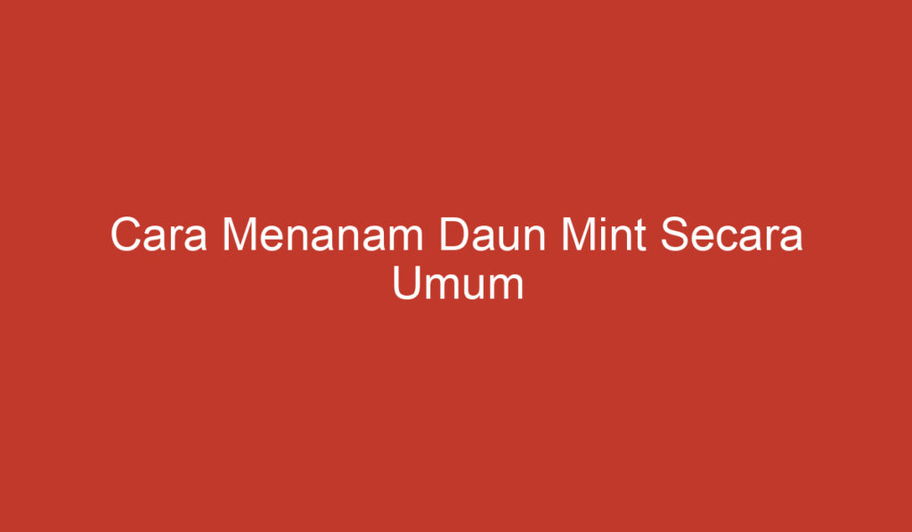 Cara Menanam Daun Mint Secara Umum