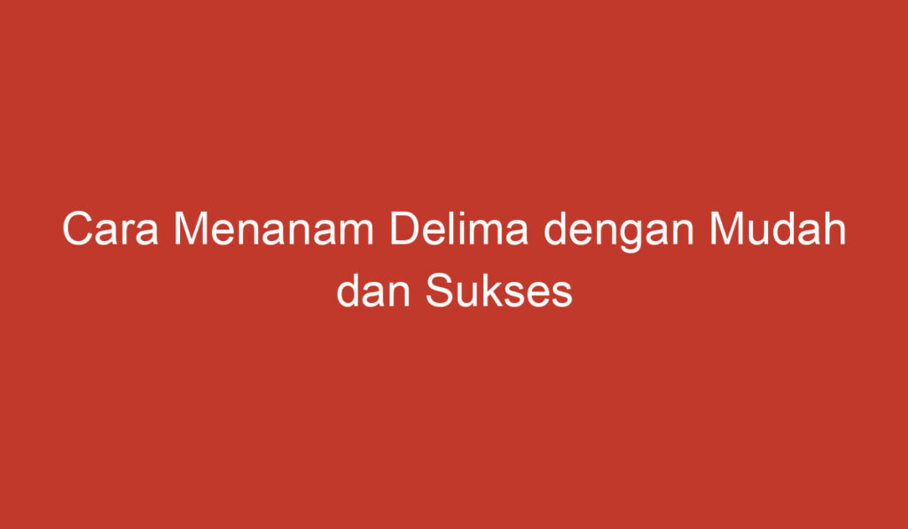 Cara Menanam Delima dengan Mudah dan Sukses