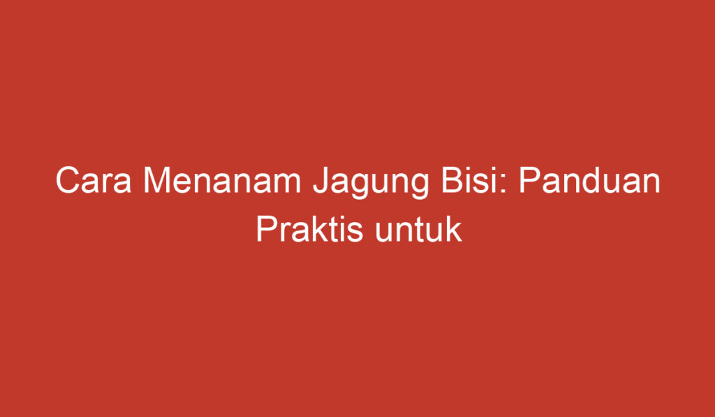 Cara Menanam Jagung Bisi: Panduan Praktis untuk Pemula