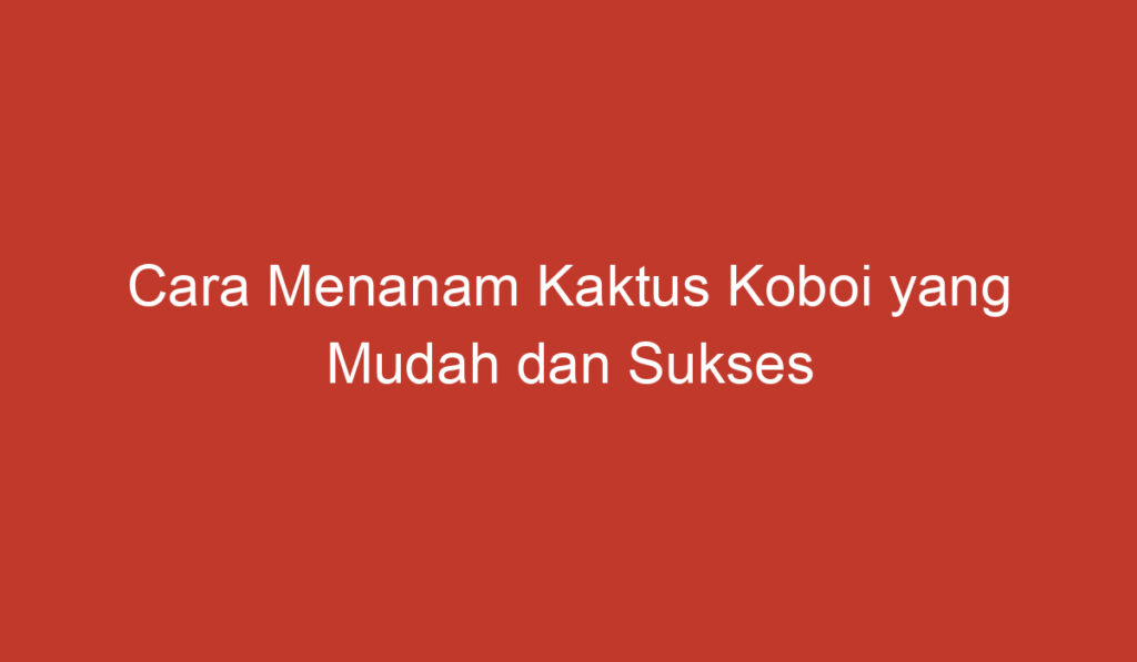 Cara Menanam Kaktus Koboi yang Mudah dan Sukses