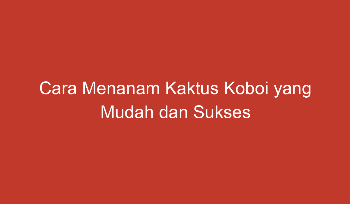 Cara Menanam Kaktus Koboi Yang Mudah Dan Sukses