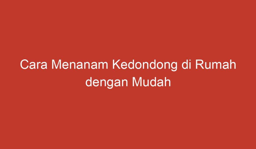 Cara Menanam Kedondong di Rumah dengan Mudah