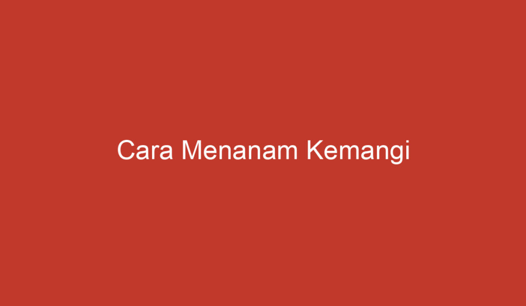 Cara Menanam Kemangi