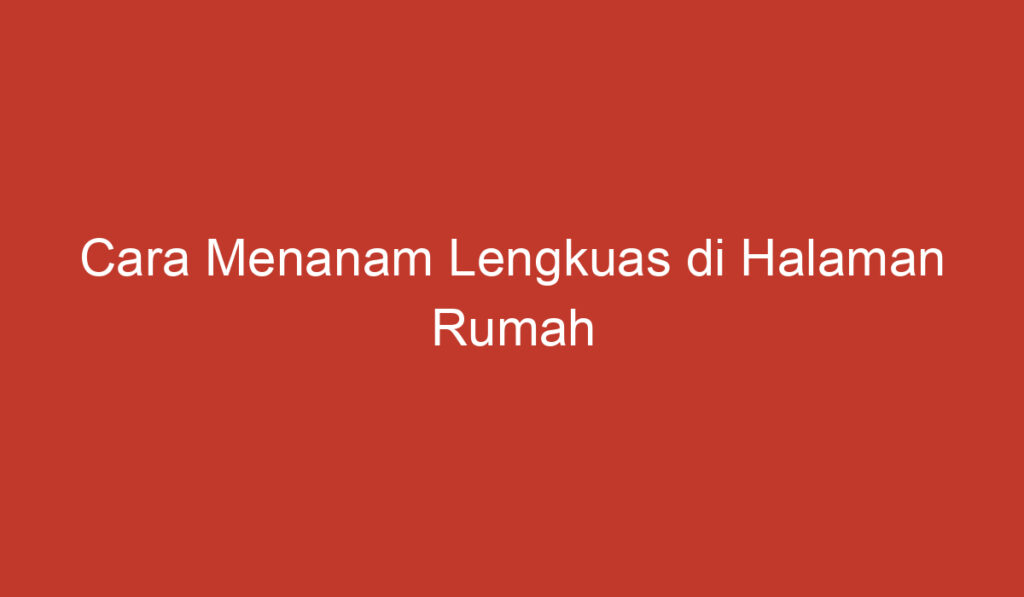 Cara Menanam Lengkuas di Halaman Rumah