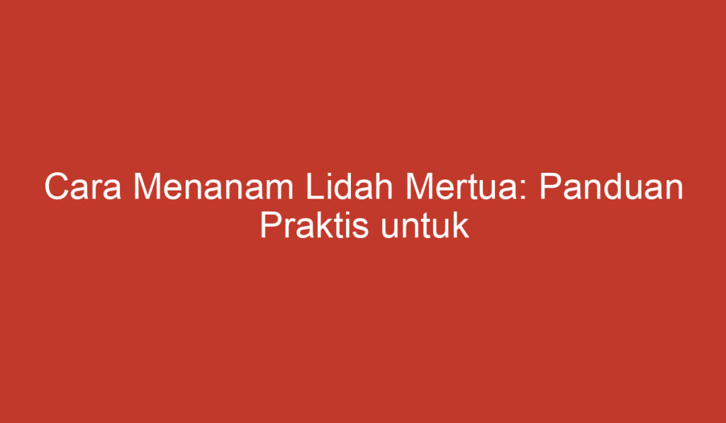 Cara Menanam Lidah Mertua: Panduan Praktis untuk Pemula