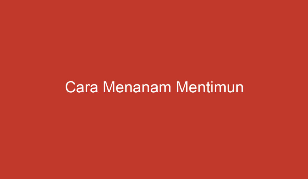 Cara Menanam Mentimun