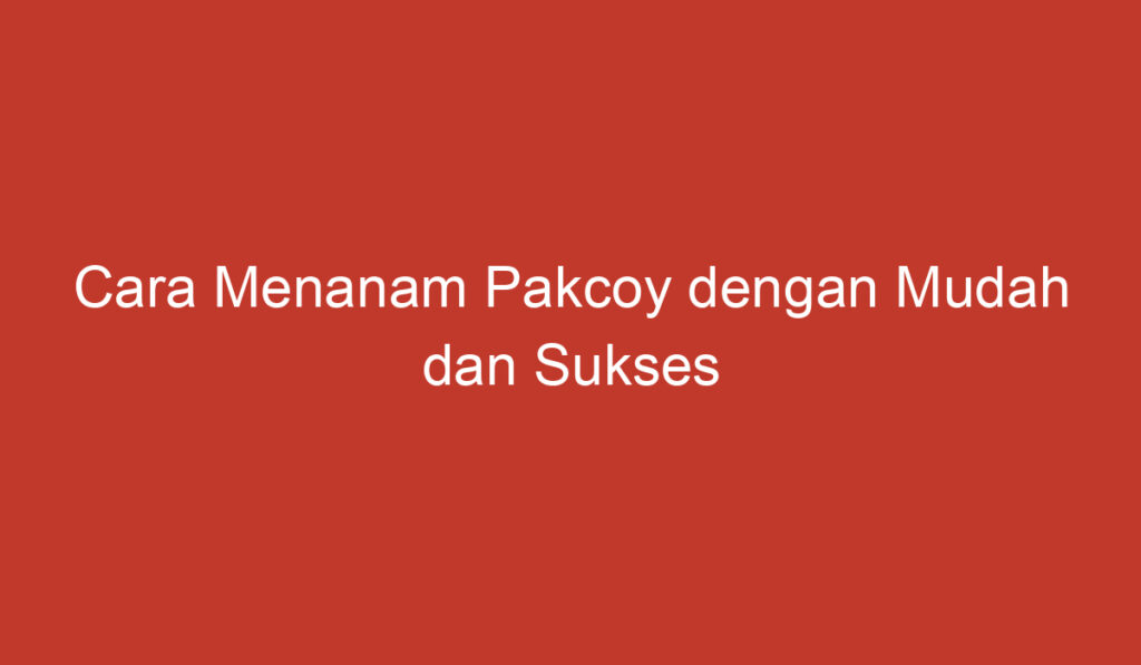 Cara Menanam Pakcoy dengan Mudah dan Sukses