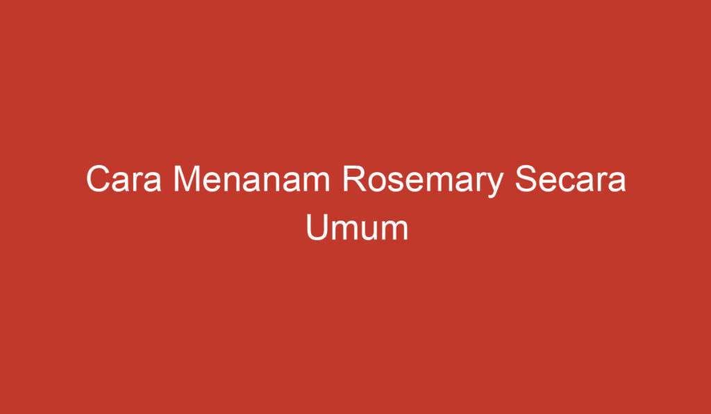 Cara Menanam Rosemary Secara Umum