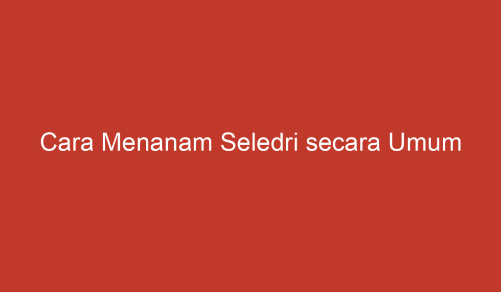 Cara Menanam Seledri secara Umum