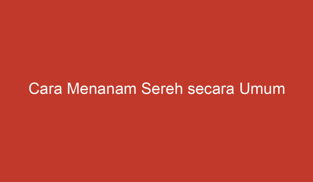 Cara Menanam Sereh secara Umum