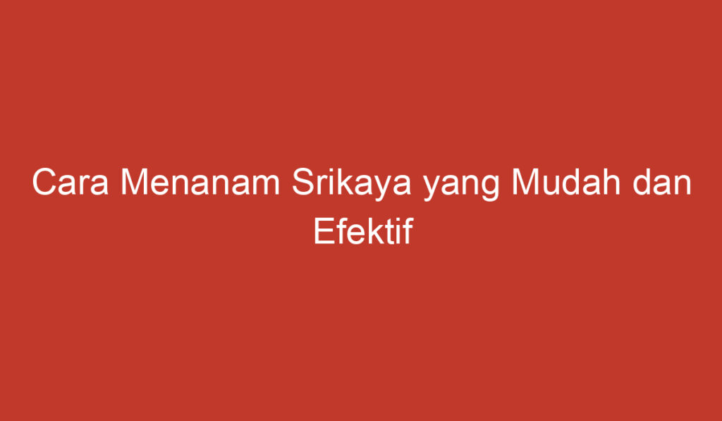 Cara Menanam Srikaya yang Mudah dan Efektif